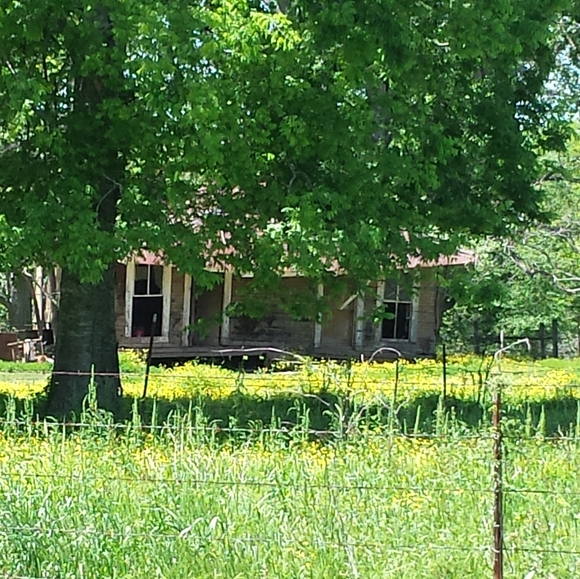 Meet your Posher, Pat - Picture 3 of 5